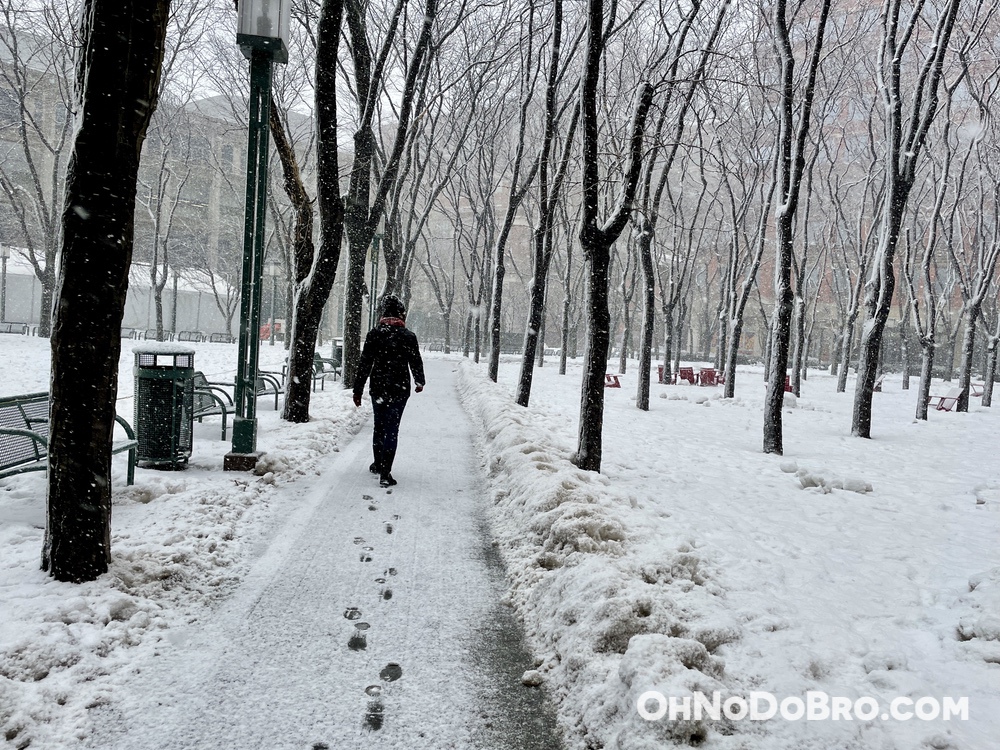 Jay Street Metrotech in the snow